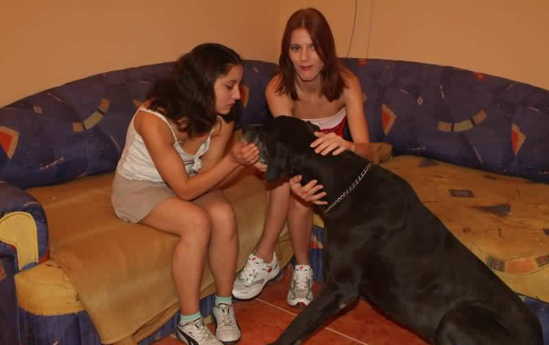 Two Czech girlfriends fuck with a dog. 