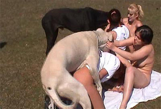 Outdoors bestiality video & pics with hot dog sex. 