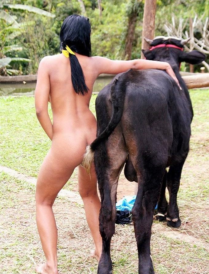 Goat Sex Girls Porn - Women having goat sex - Other - XXX videos