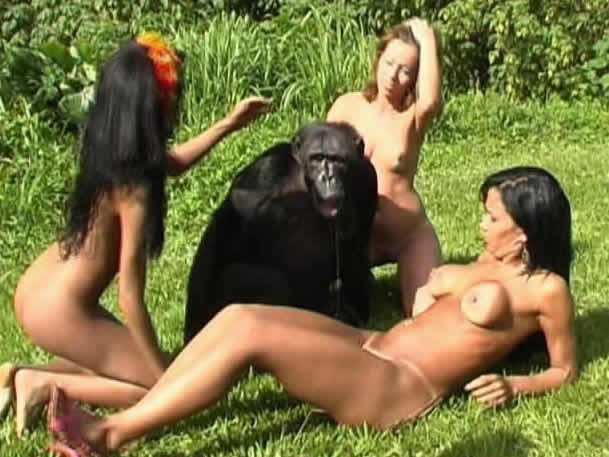 Monkey With Women Sex Video.