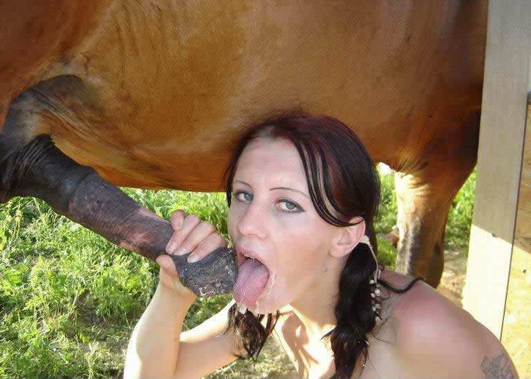 Young German girl try outdoors horse sex. 