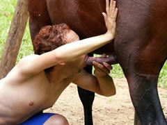 240px x 180px - Bestiality Orgy ::. Gay party with a horse where the horse raped Man
