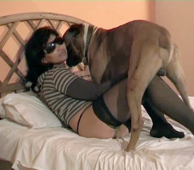 This video, sex with a bulldog, was shot at a private bestiality ranch... 