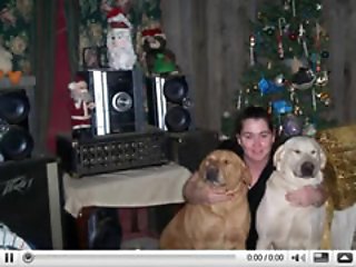 Russian New Year with two dogs